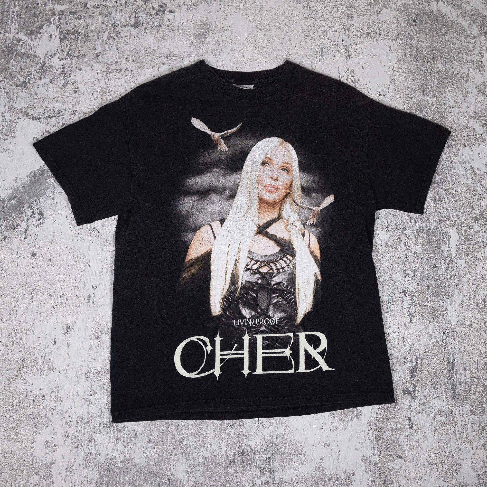 Cher Living Proof Vintage 2000s Tour Tee